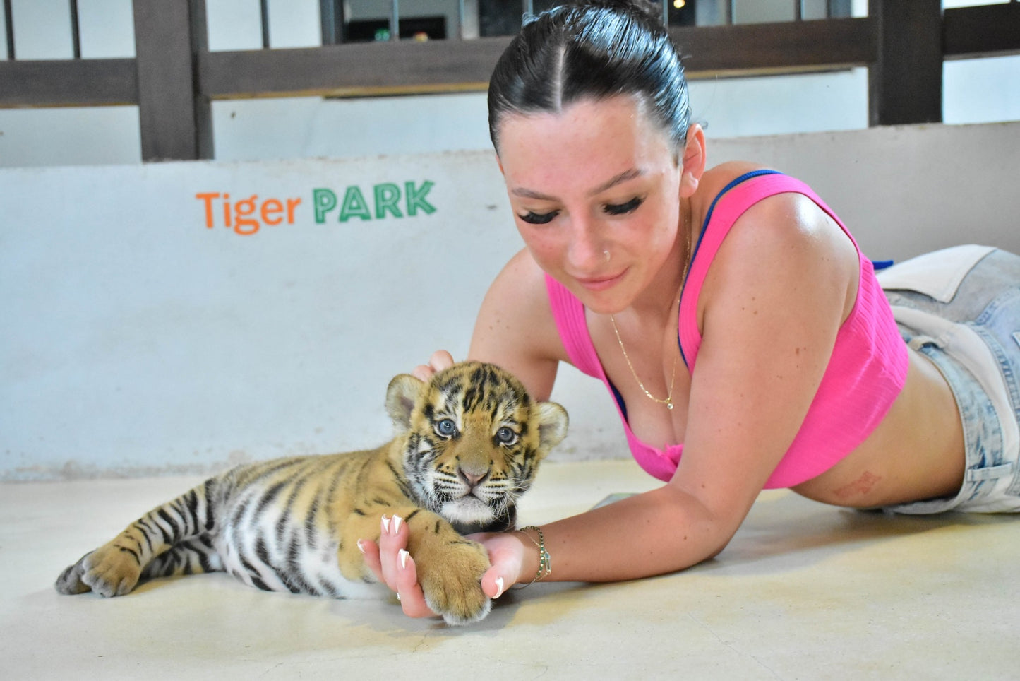 Tiger Park Pattaya Adventure: Safe Tiger Encounters with Hotel Transfer