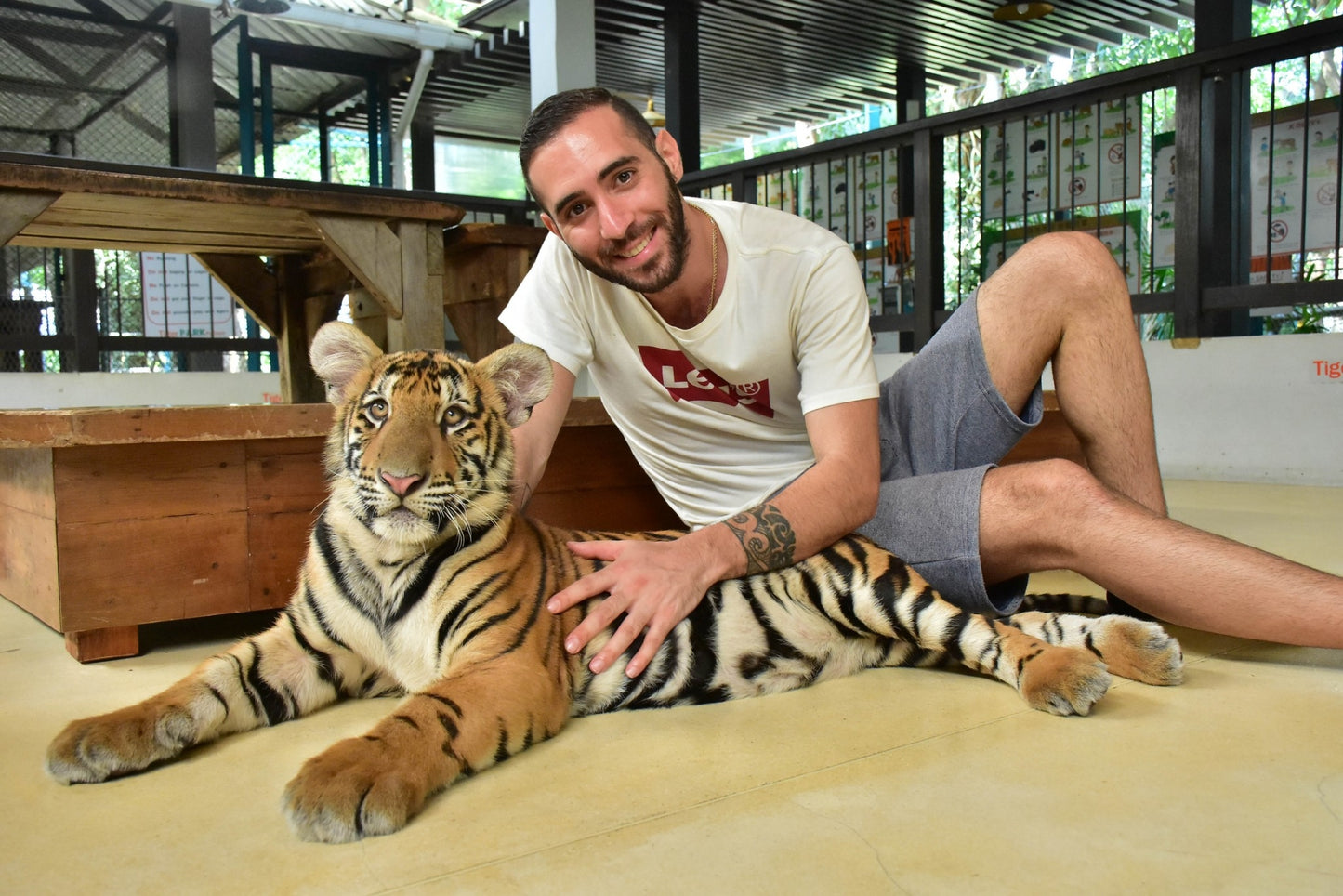 Tiger Park Pattaya Adventure: Safe Tiger Encounters with Hotel Transfer
