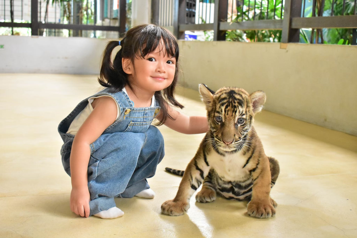 Tiger Park Pattaya Adventure: Safe Tiger Encounters with Hotel Transfer