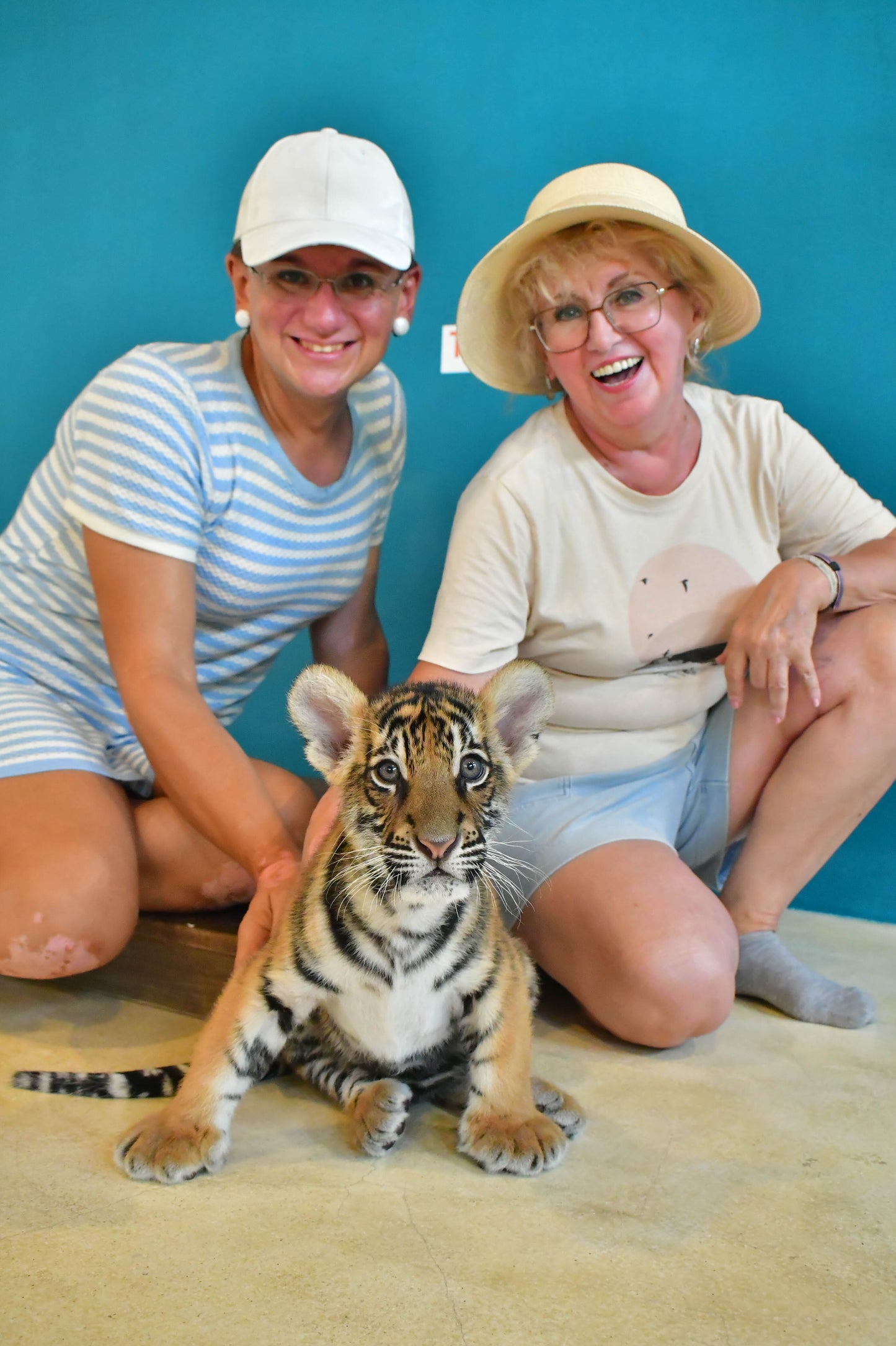 Tiger Park Pattaya: An Unforgettable Big Cat Encounter