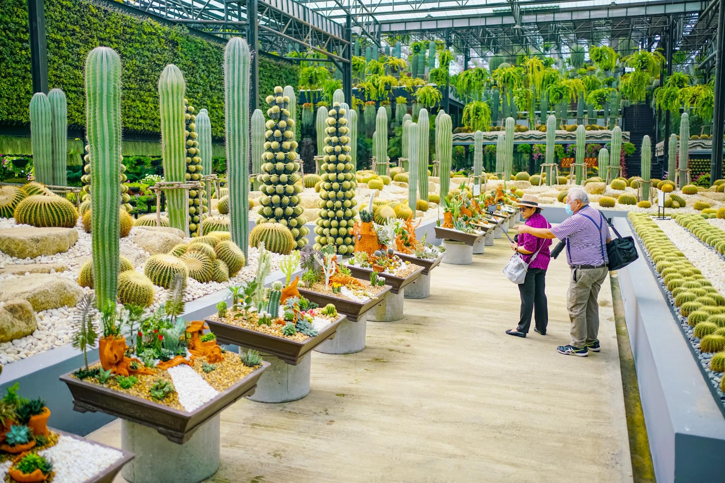 Nong Nooch Tropical Garden Ticket & Transfer: Thai Cultural & Elephant Show Experience