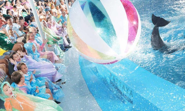 Pattaya Dolphinarium