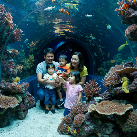 Pattaya Family Adventure: Underwater World & Dolphin Show