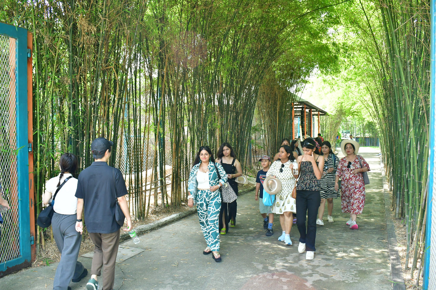 Tiger Park Pattaya Adventure: Safe Tiger Encounters with Hotel Transfer