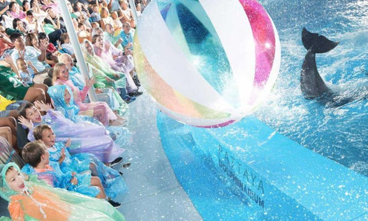 Pattaya Dolphinarium: Asia's #1 Dolphin Show & Swim Experience